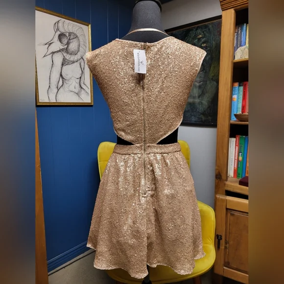 Windsor Sequined Dress With Side Cutouts Size M - Picture 6 of 10